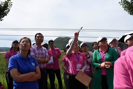 说明: //oa.twap1.com/defaultroot/upload/html/20180824191135360011.jpg